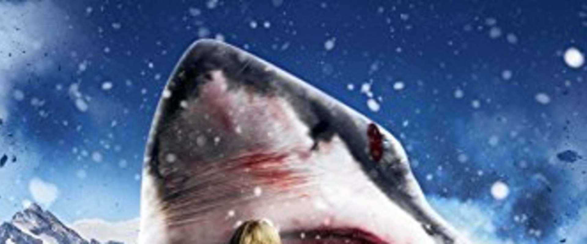 Avalanche Sharks background 1