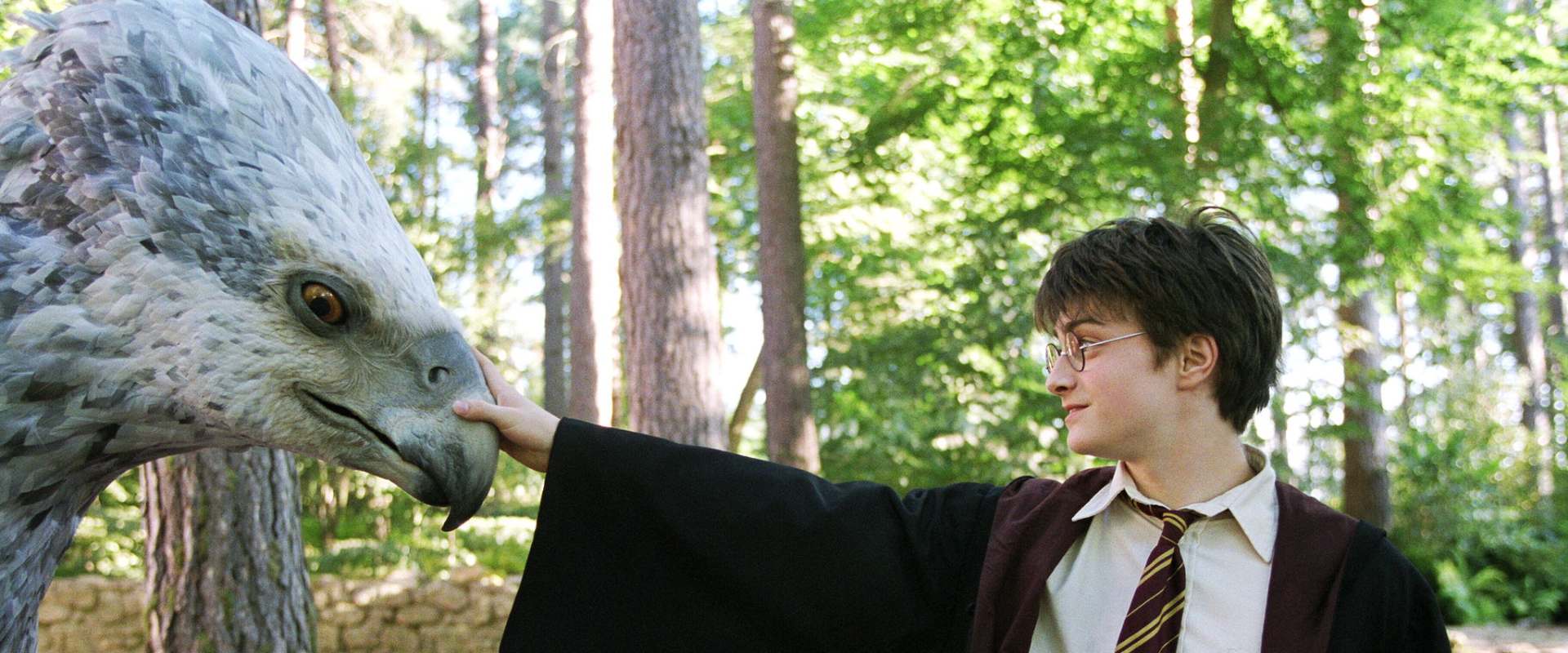 Harry Potter and the Prisoner of Azkaban background 2