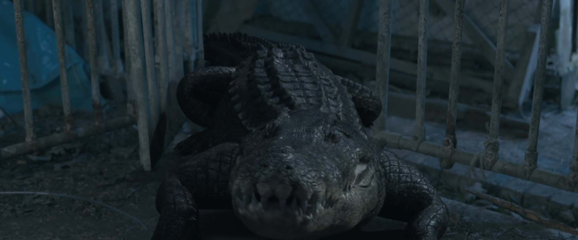 Crocodile Vengeance background 1