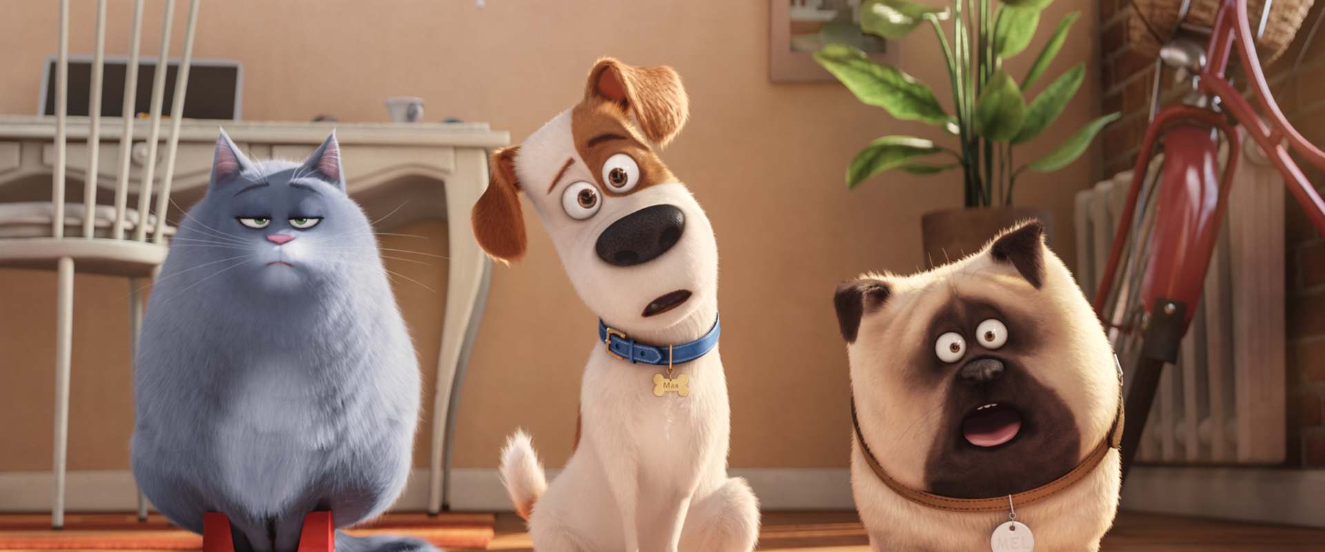 The Secret Life of Pets background 1