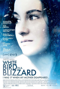 White Bird in a Blizzard Poster 1