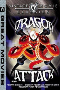Dragon Attack Poster 1