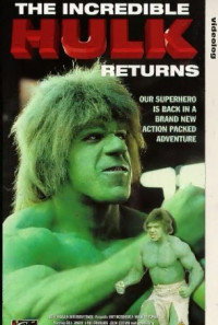 The Incredible Hulk Returns Poster 1