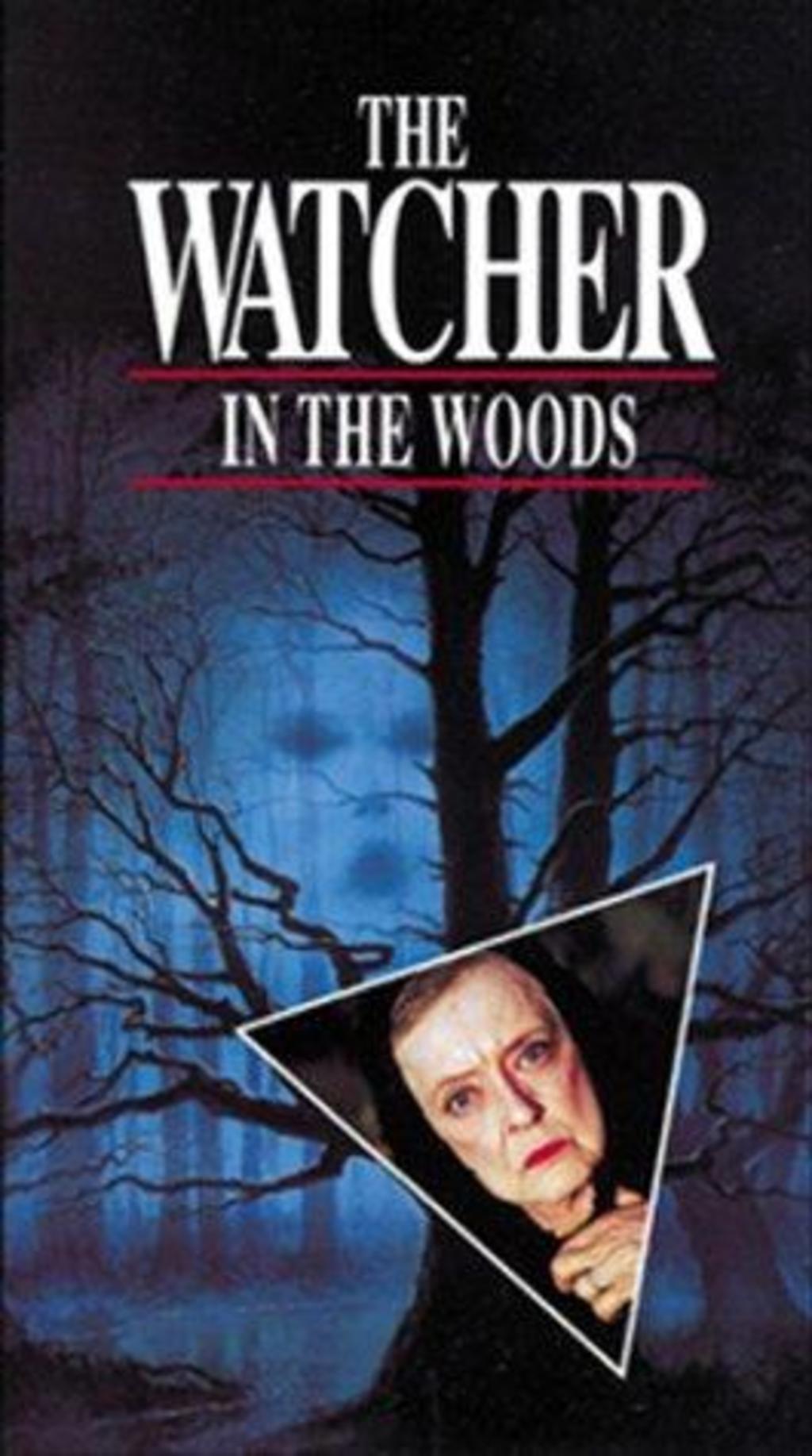 Watch The Watcher in the Woods on Netflix Today!