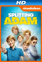 Splitting Adam