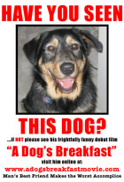 A Dog's Breakfast