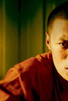 Shamo