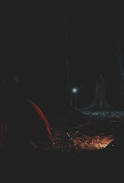 Something Walks in the Woods
