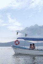 Cigüeñas