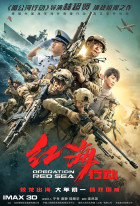 Operation Red Sea