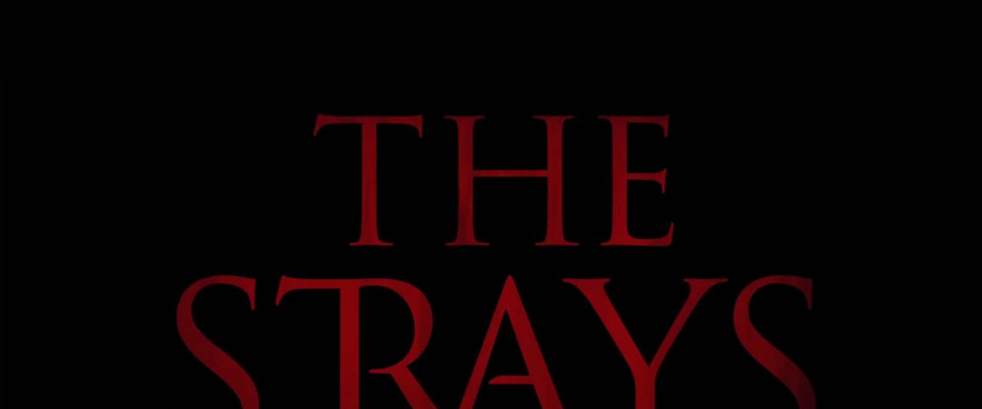 The Strays background 1