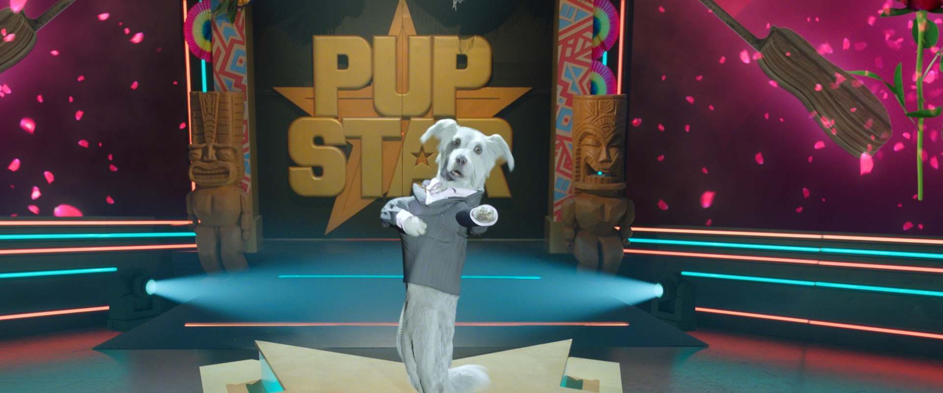 Pup Star: World Tour background 2