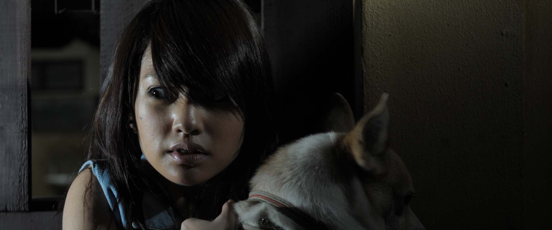 The Child's Eye background 1