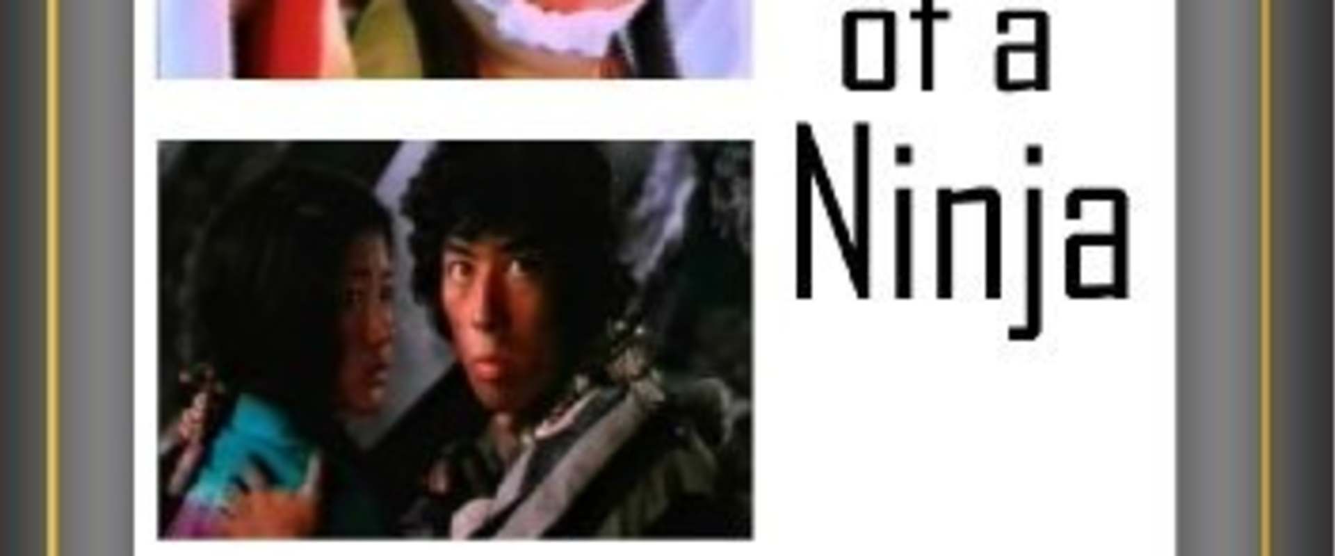 Ninja Wars background 1