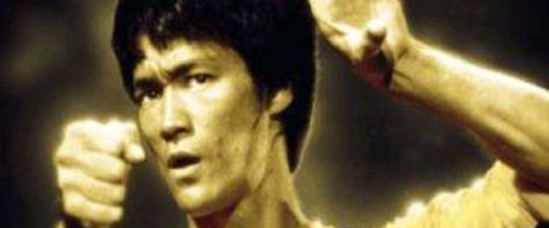 Bruce Lee: The Man and the Legend background 1