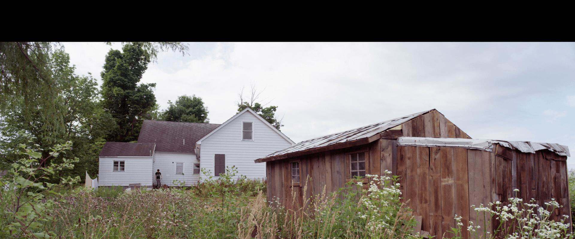 The Shed background 1