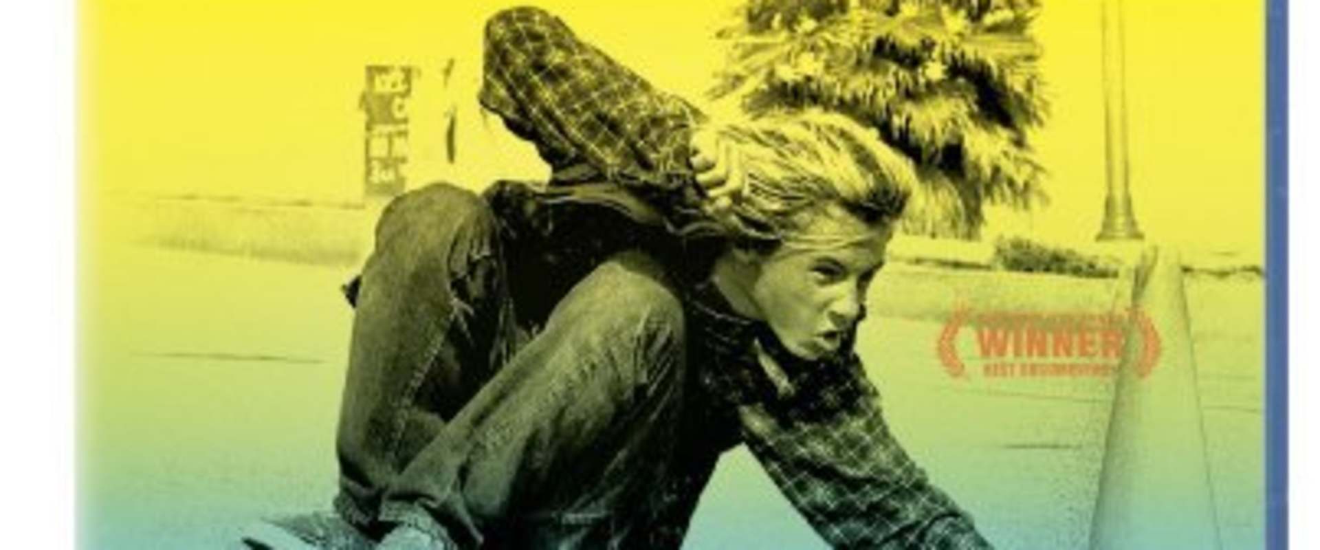 Dogtown and Z-Boys background 1
