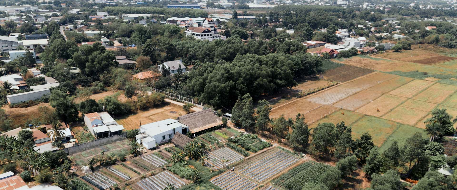 Vietnam: Fast Forward background 2