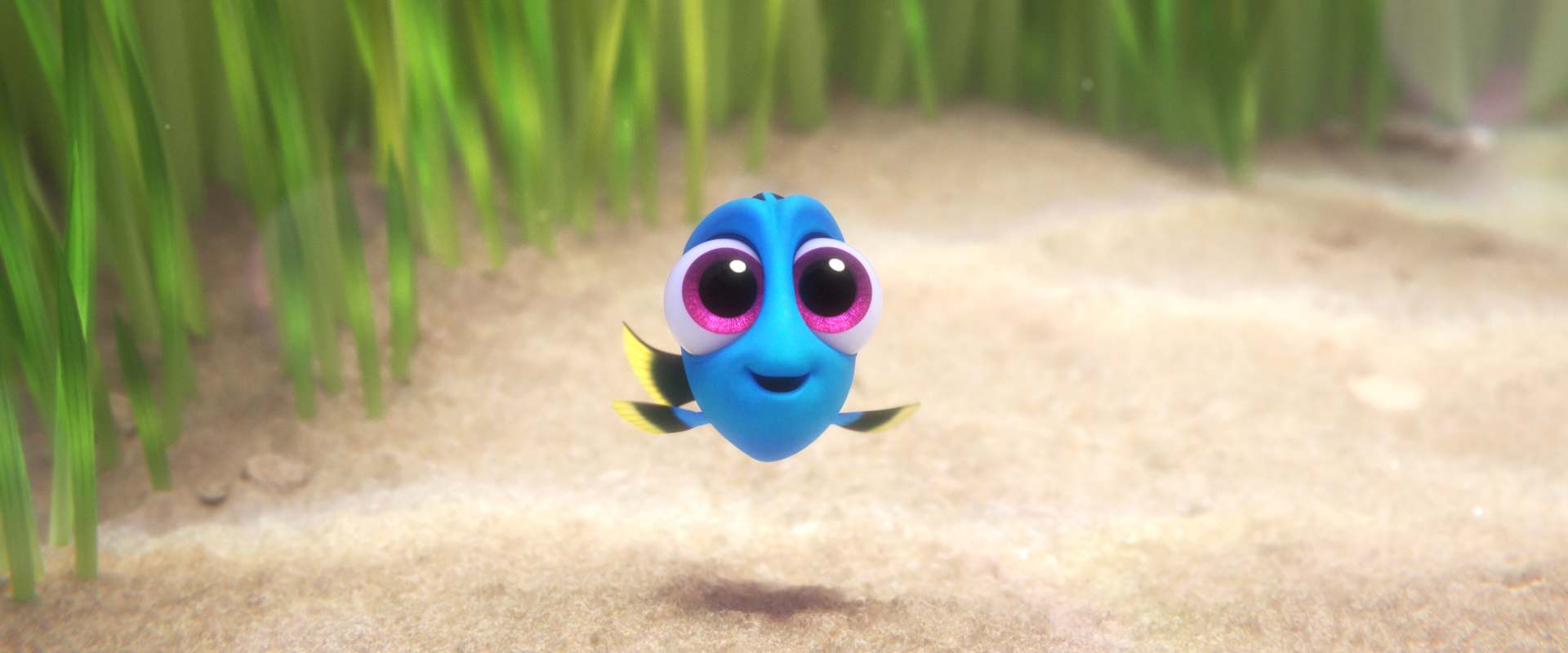Finding Dory background 1