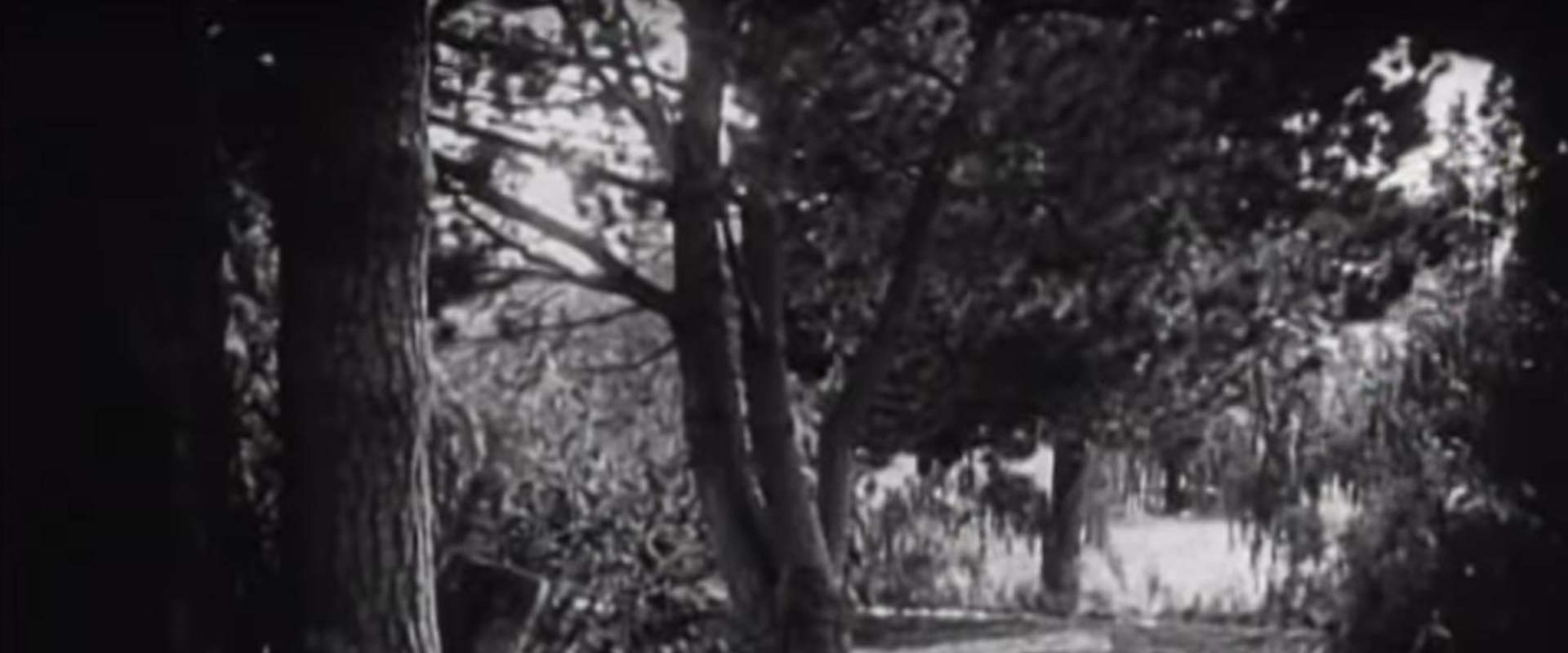 The Avenging Conscience background 1