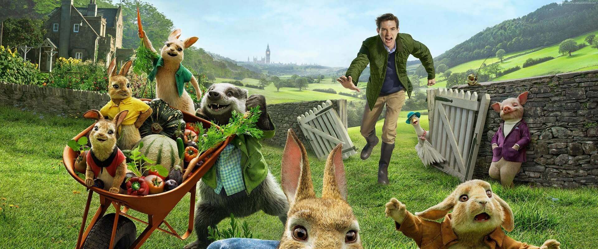 Peter Rabbit background 2