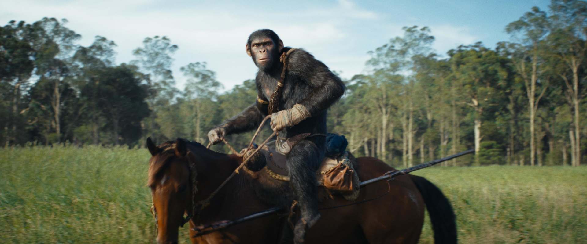 Kingdom of the Planet of the Apes background 2