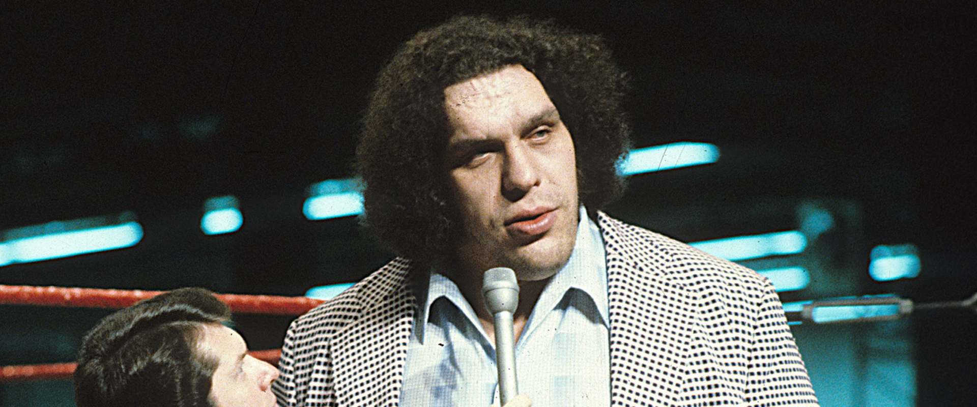 Andre the Giant background 1