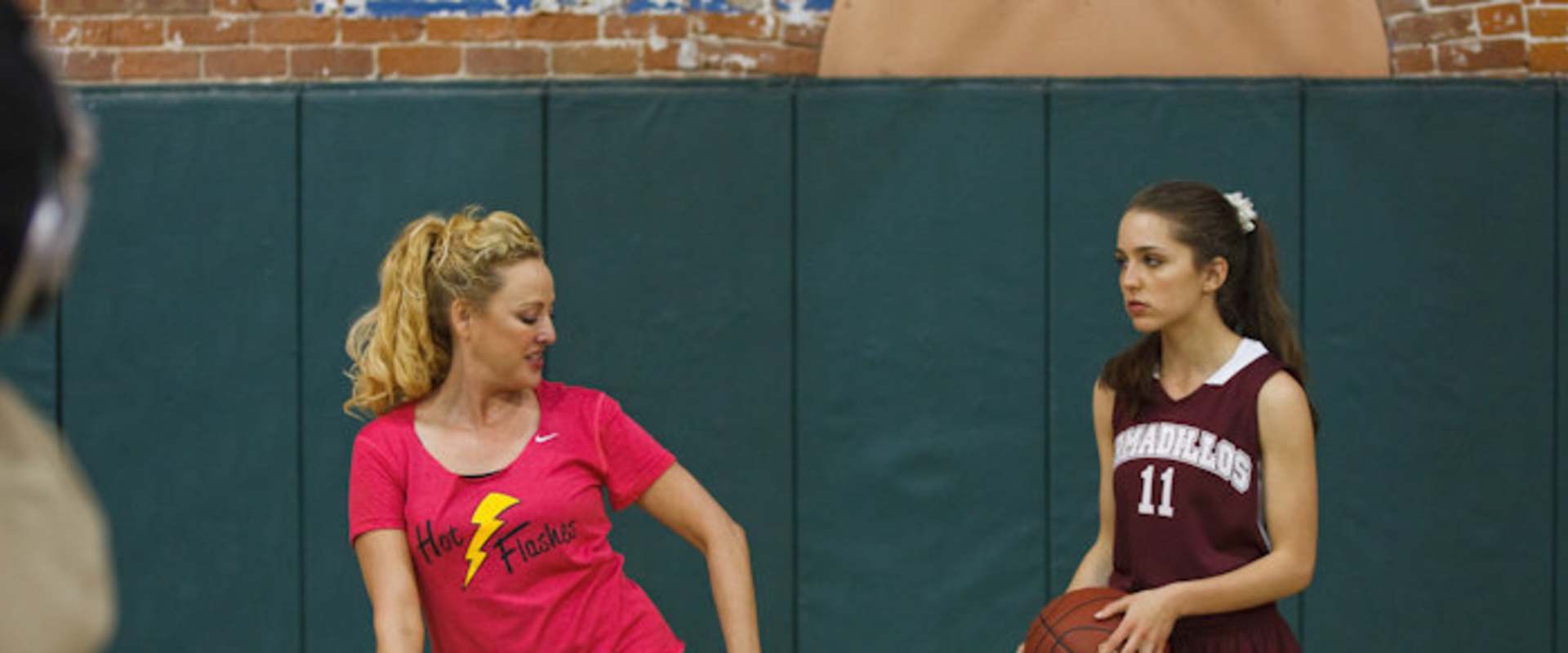 The Hot Flashes background 1