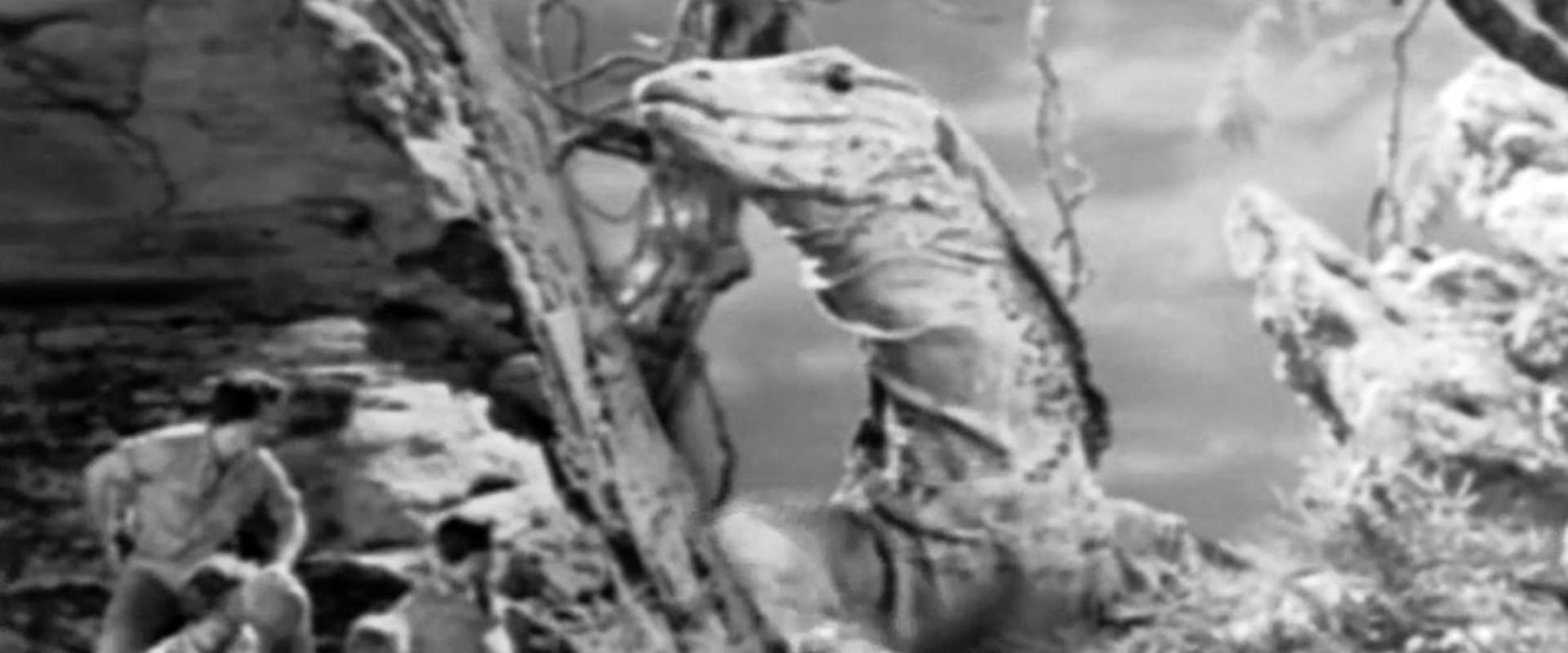 Untamed Women background 1