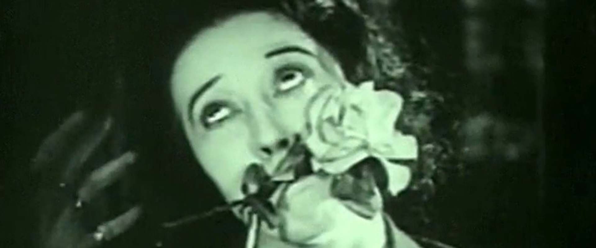 What Happened To Rosa background 2