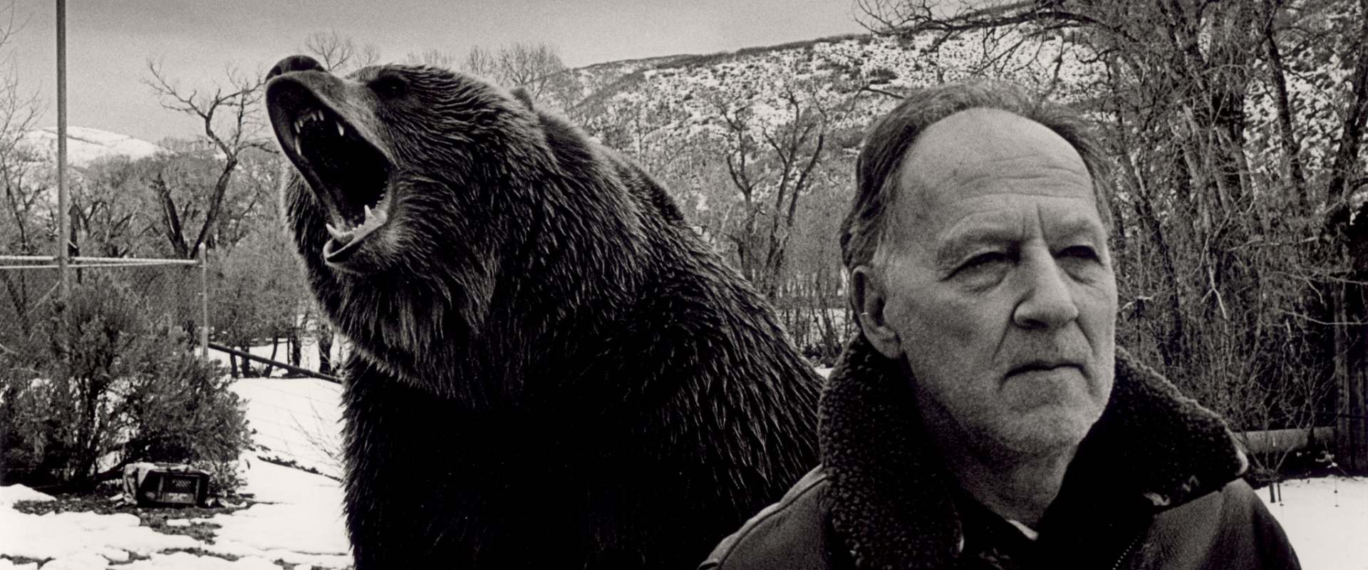 Grizzly Man background 1