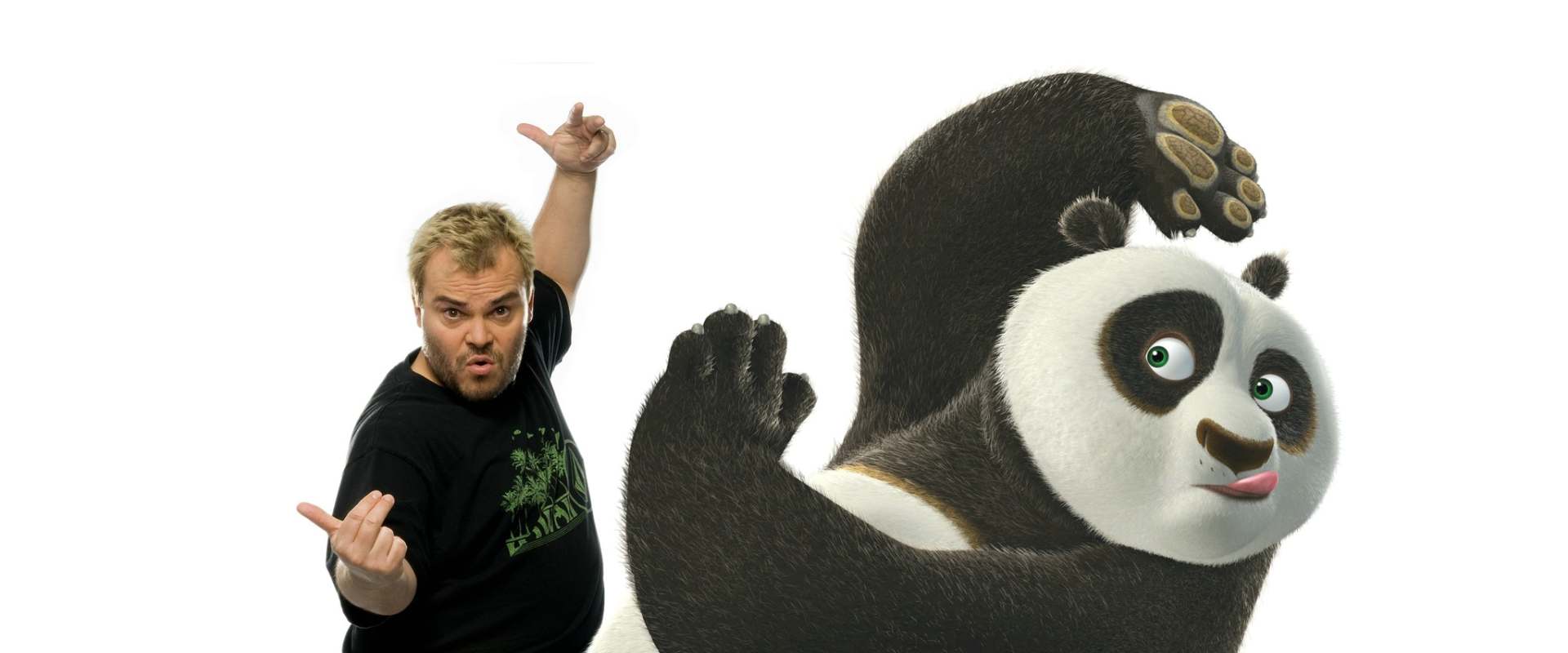 Kung Fu Panda background 2