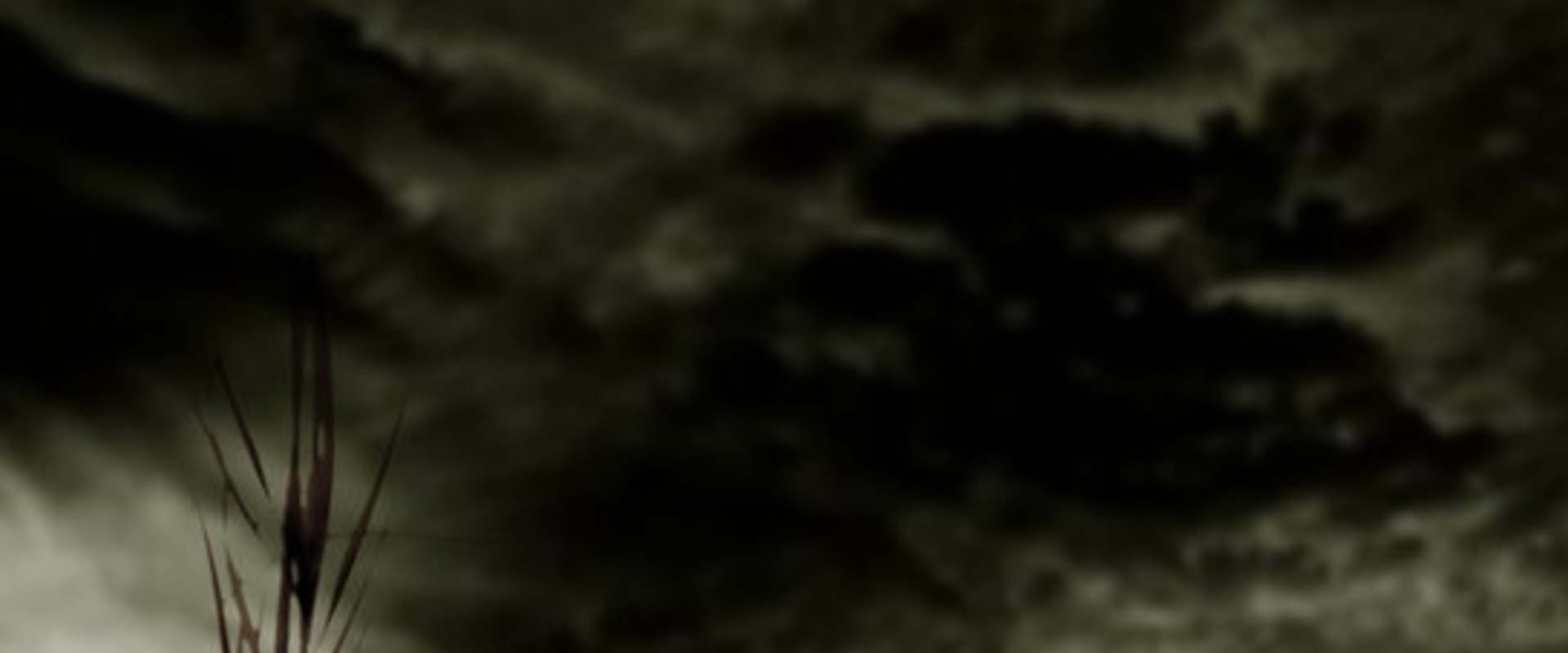 Forever's End background 1