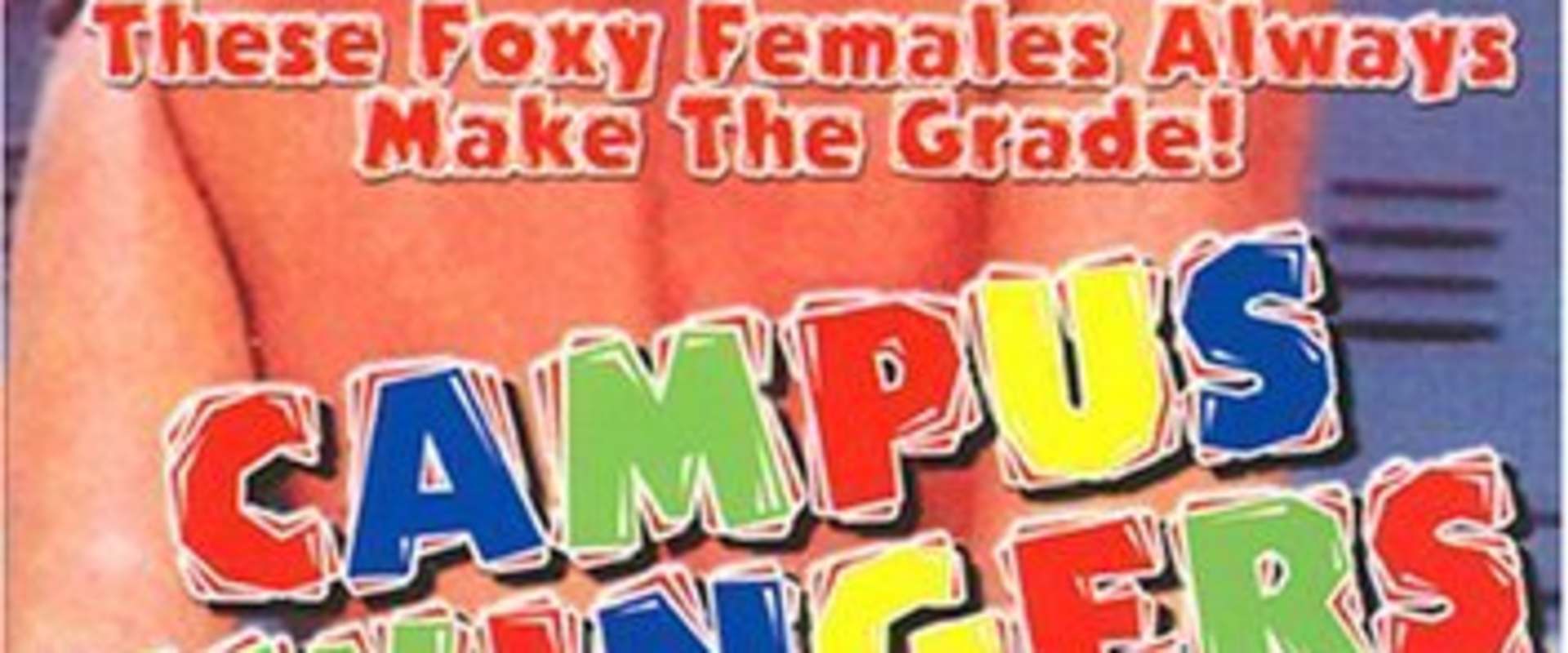 Schoolgirl Report Part 4: What Drives Parents to Despair background 1