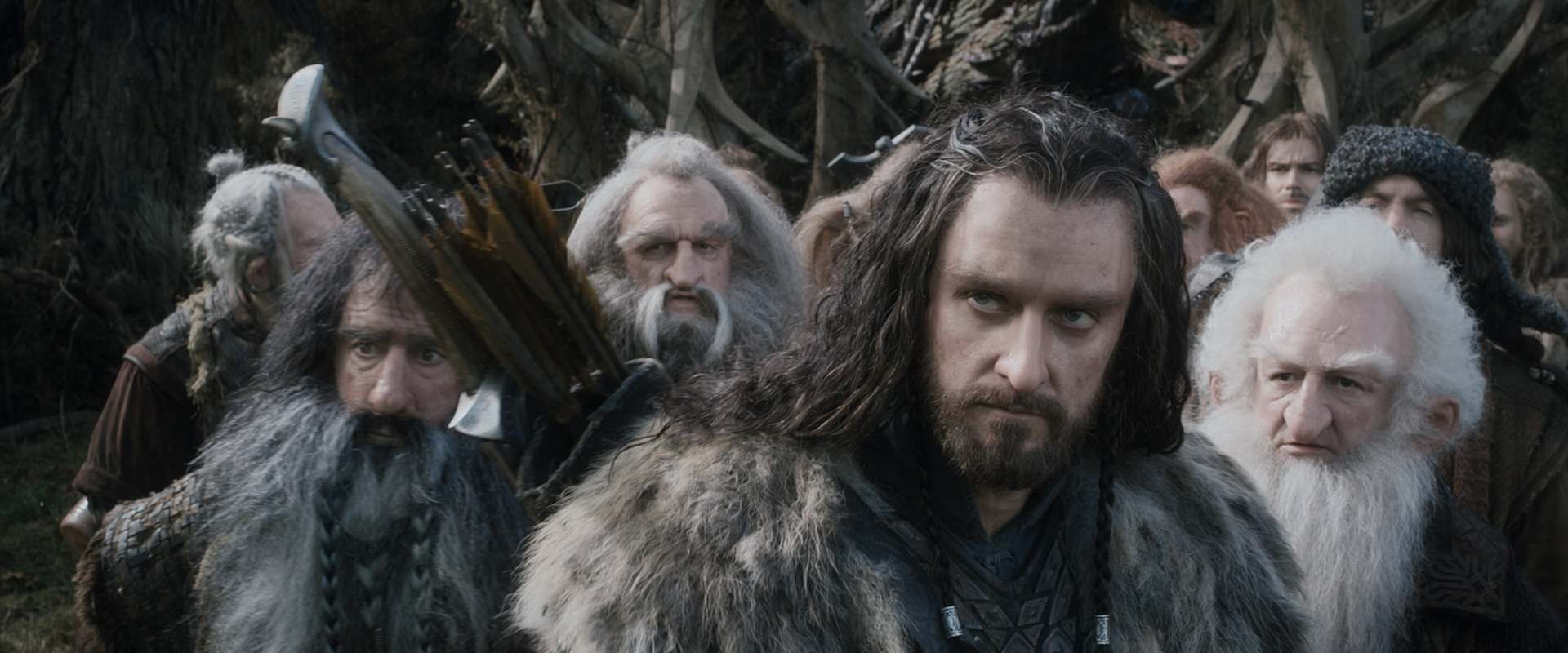 The Hobbit: The Desolation of Smaug background 2