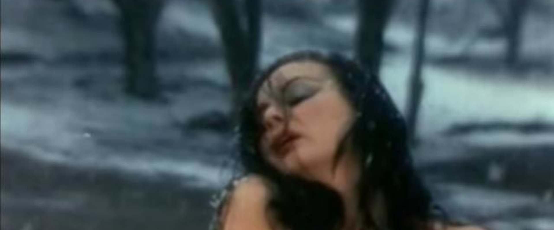 The Insatiable Widow background 2