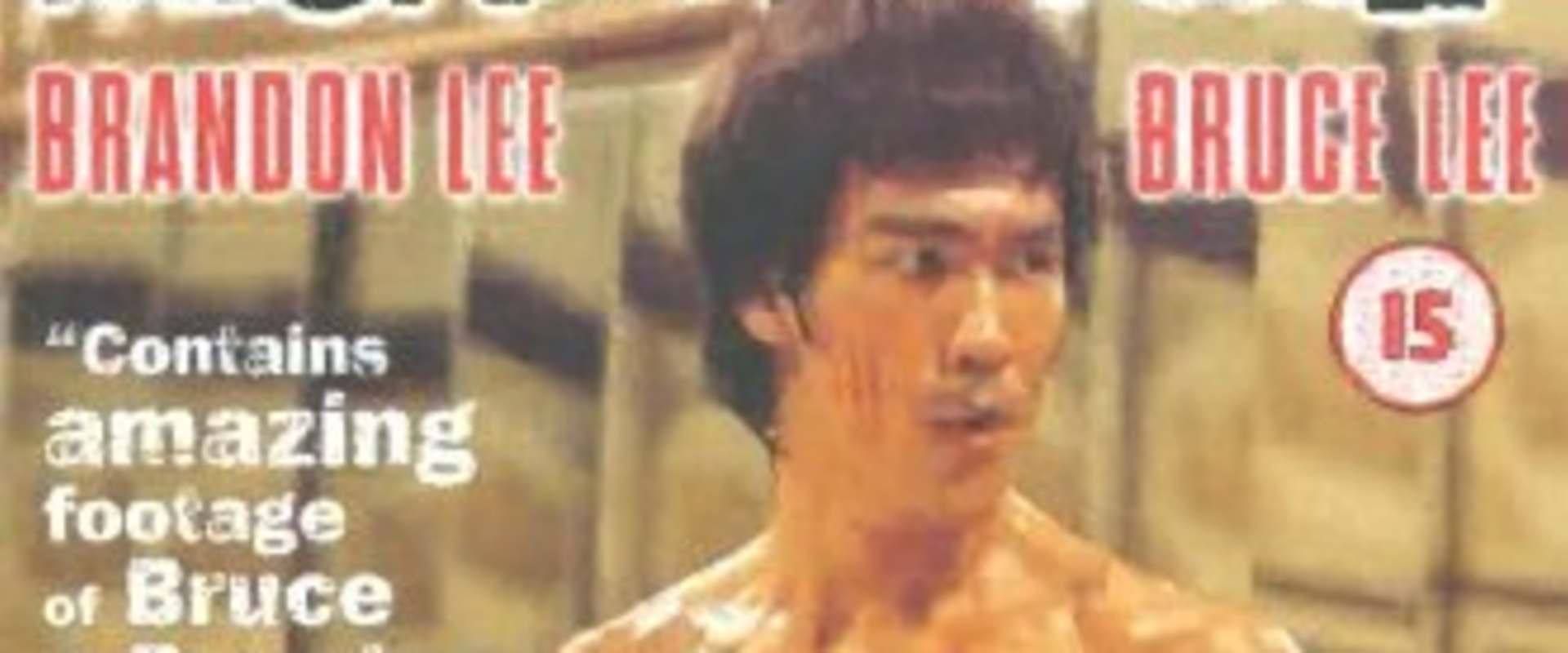 Death by Misadventure: The Mysterious Life of Bruce Lee background 2