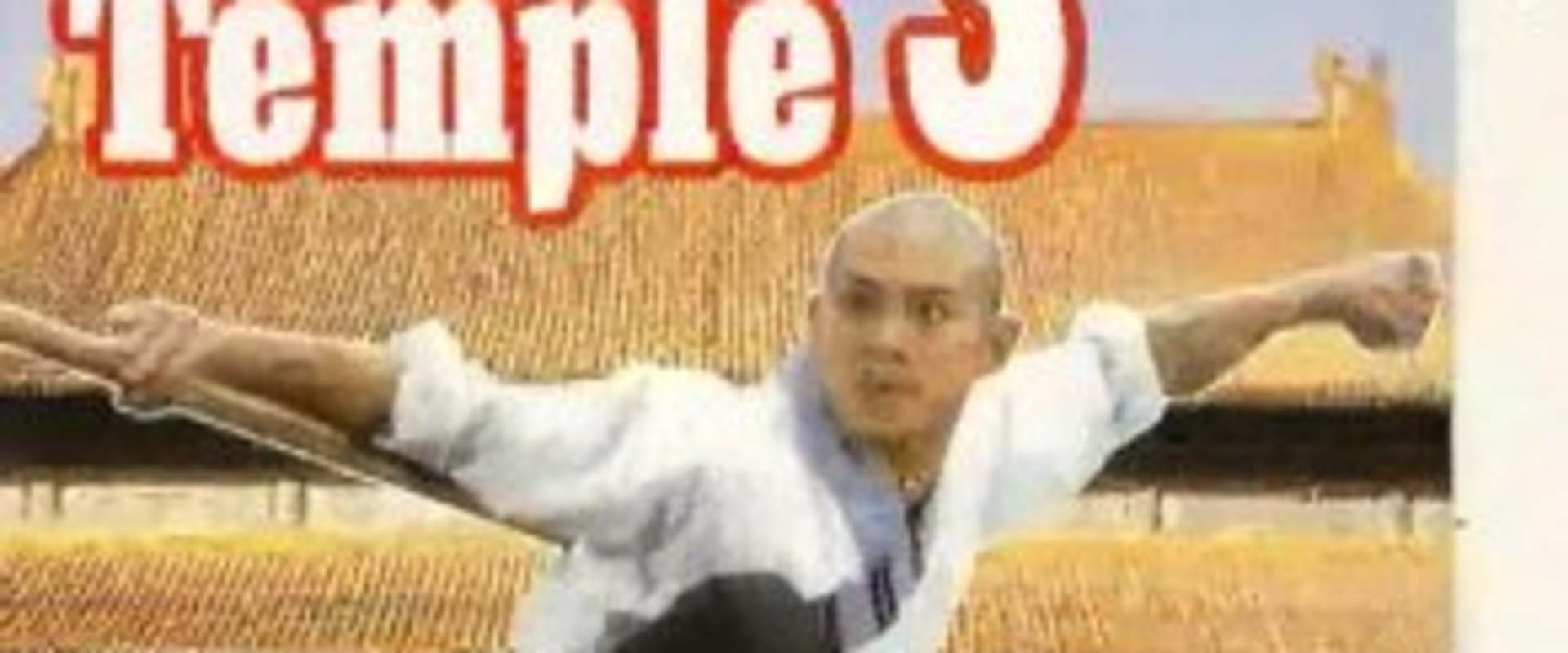 Martial Arts of Shaolin background 2