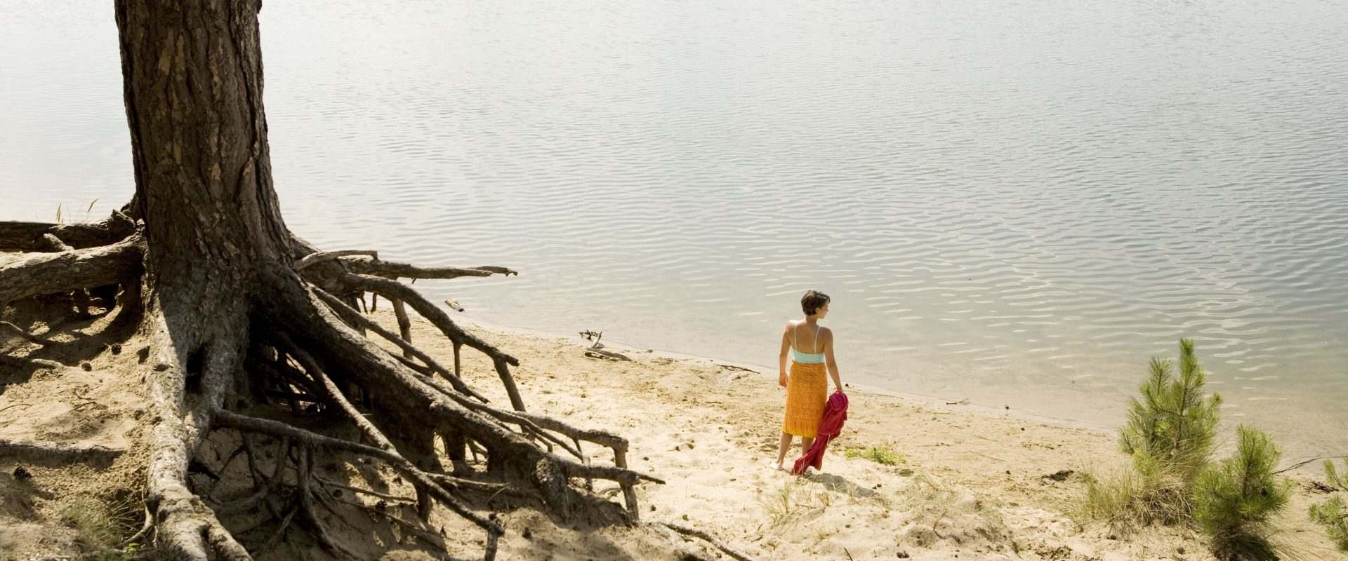 The Last Days of Emma Blank background 2
