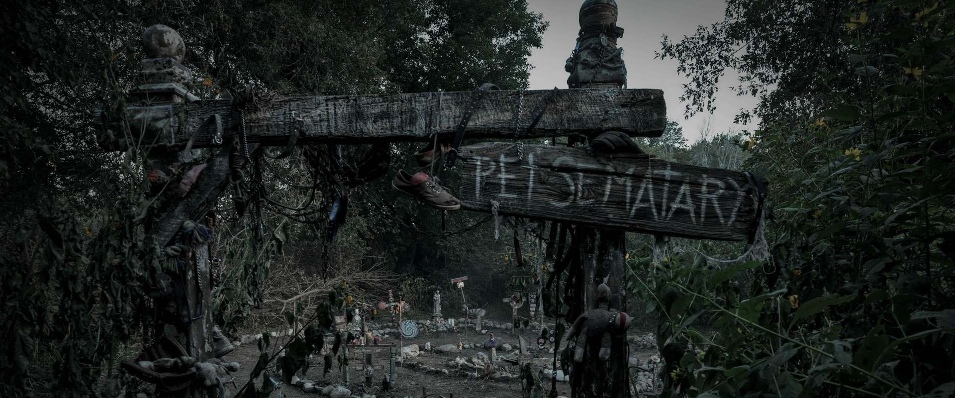 Pet Sematary: Bloodlines background 1