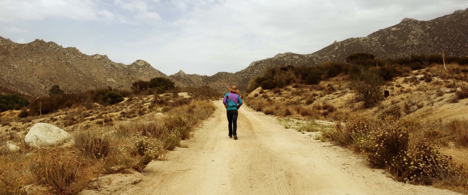 Danni and The Vampire background 1