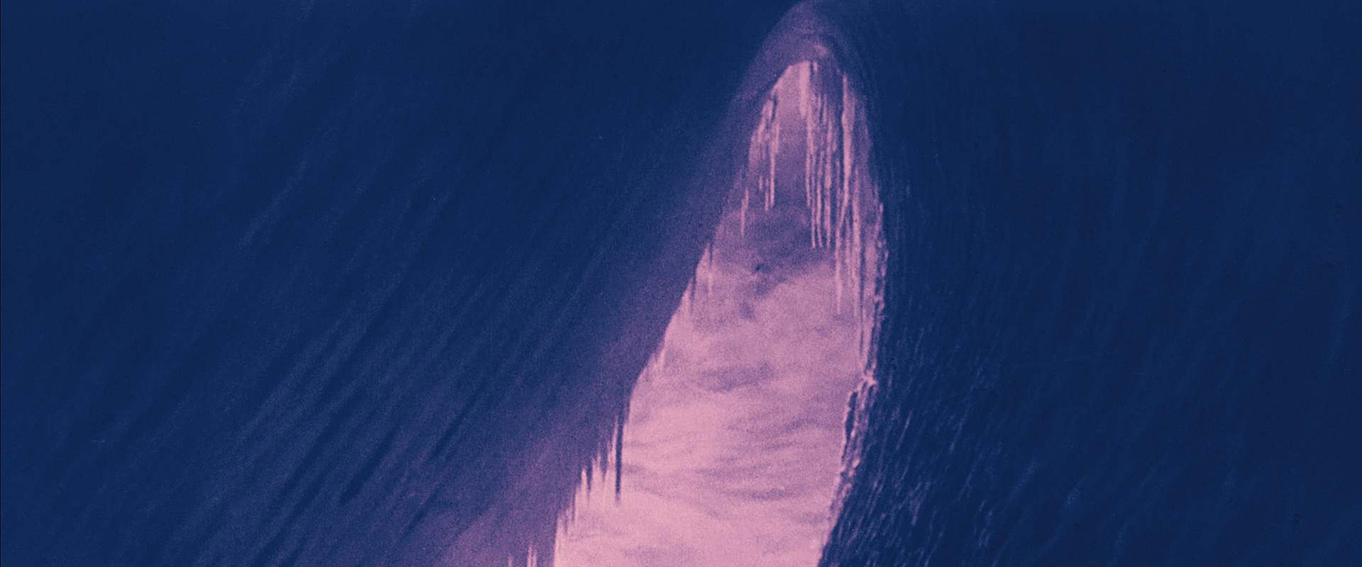 The Great White Silence background 2
