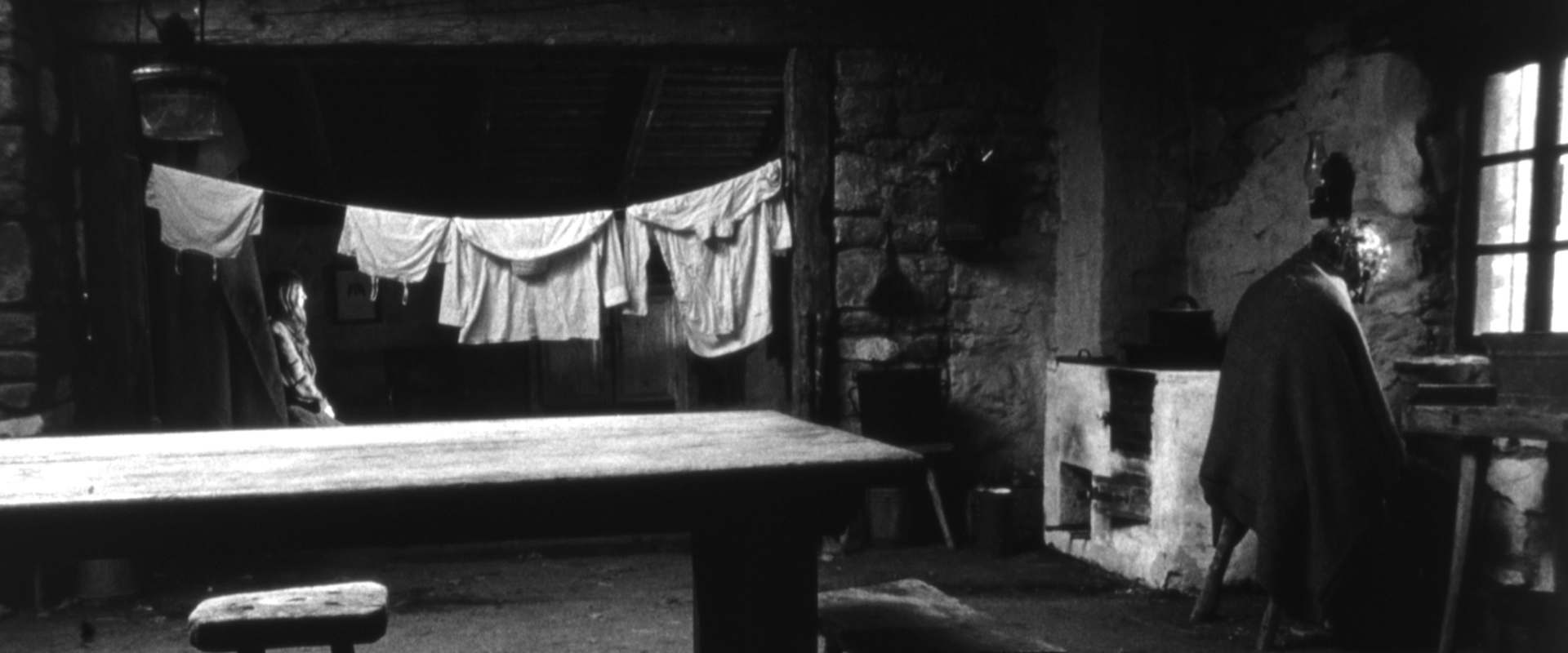 The Turin Horse background 2