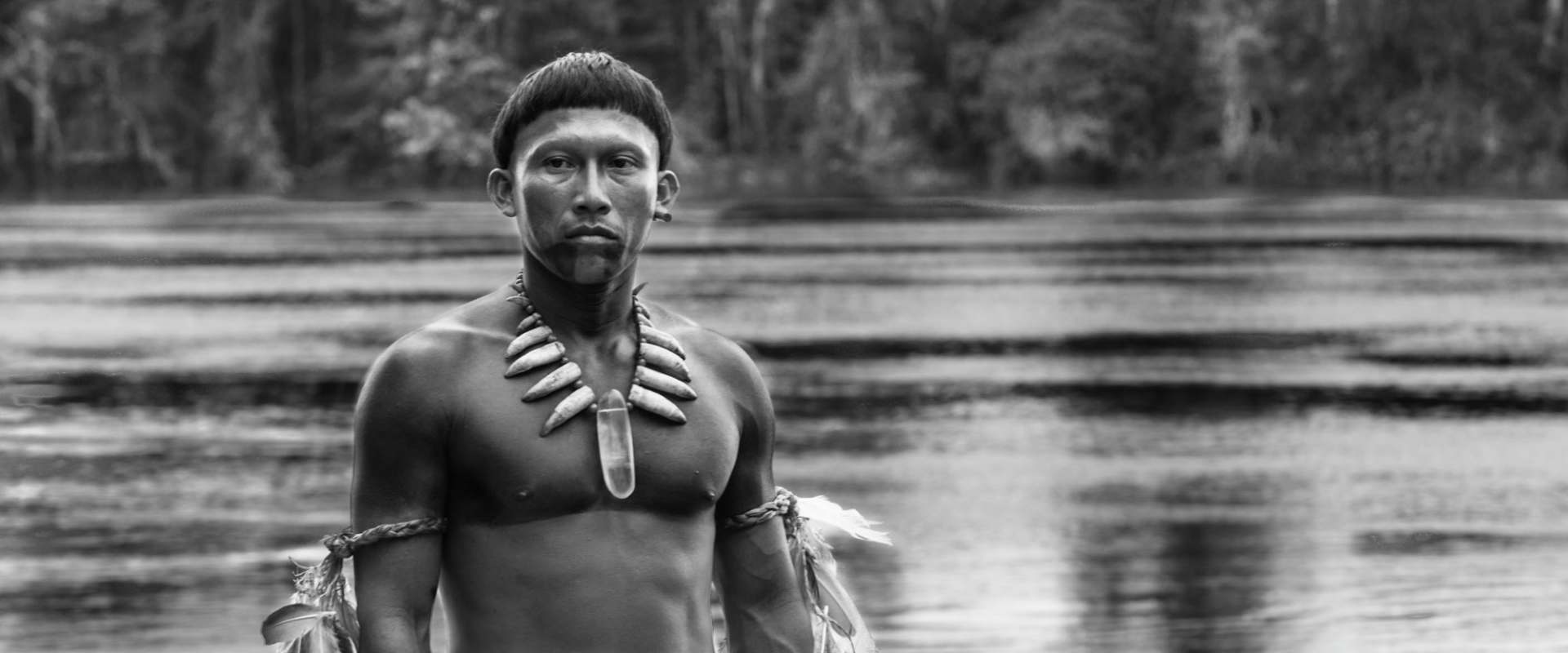 Embrace of the Serpent background 1