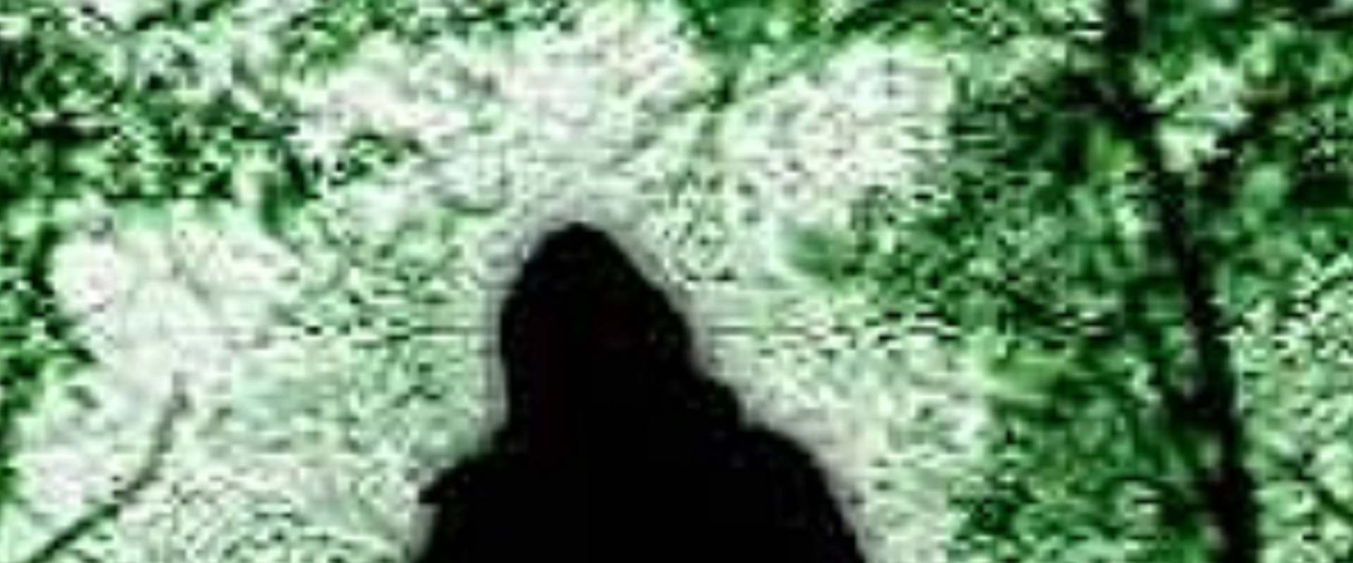 Curse of Bigfoot background 2