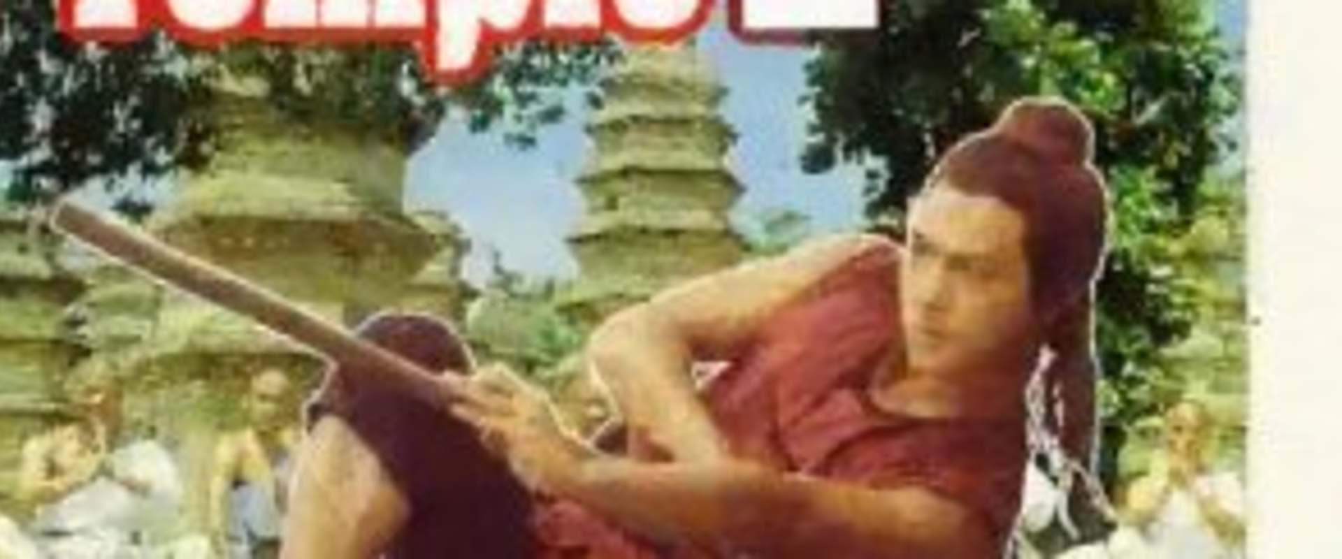 Shaolin Temple 2: Kids from Shaolin background 1