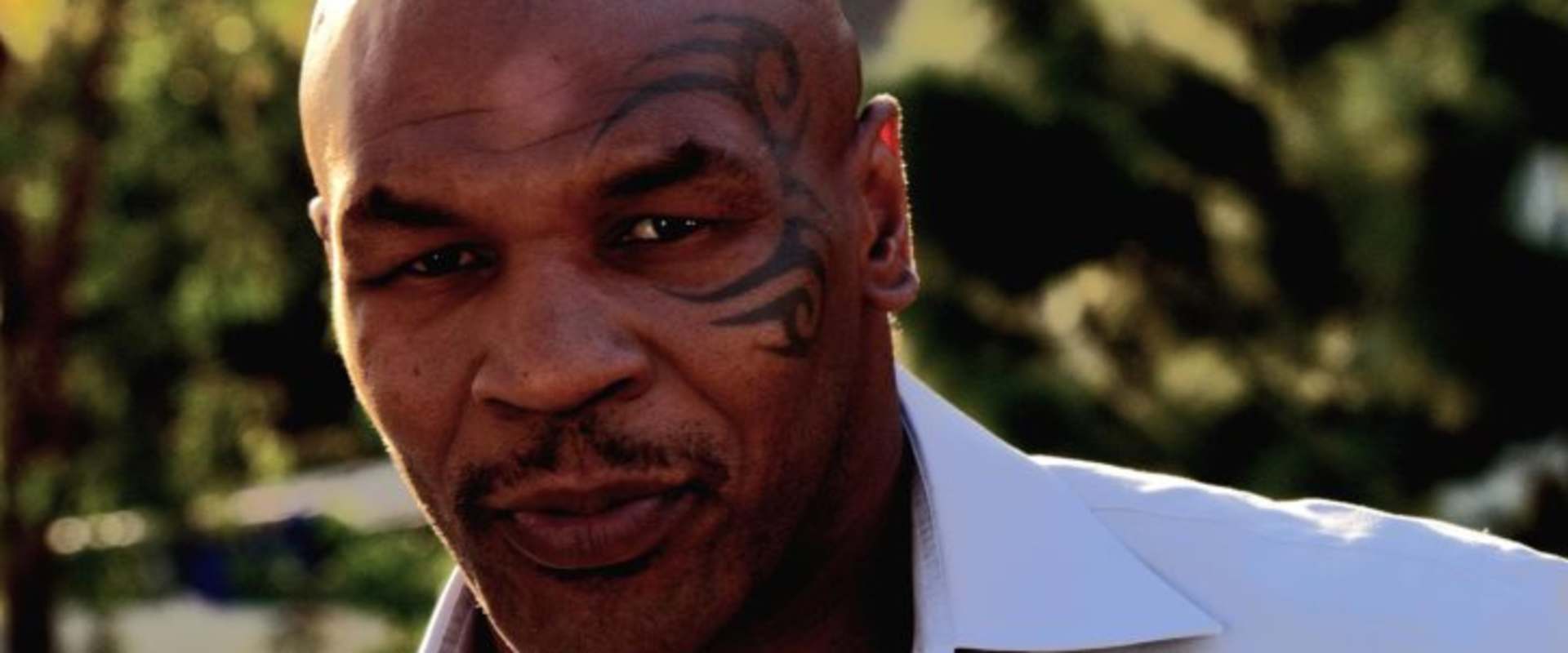 Tyson background 2