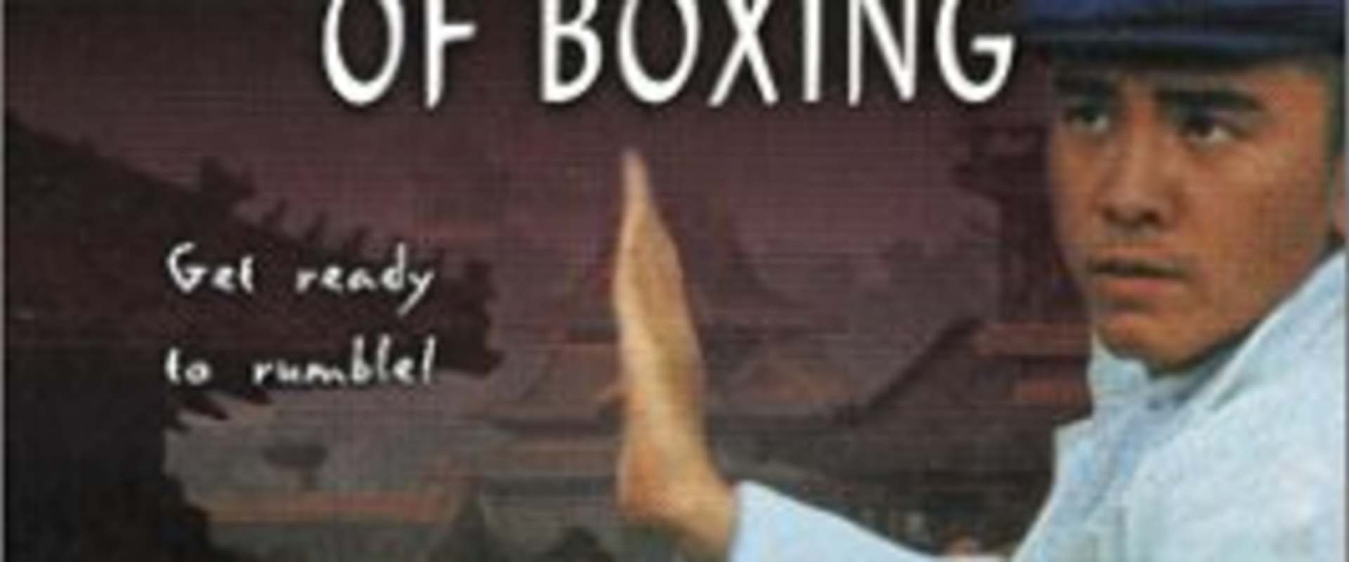 The Six Directions of Boxing background 1
