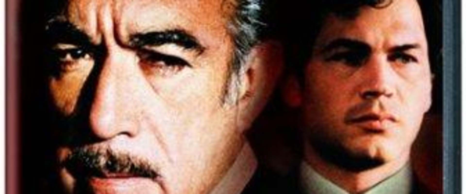 The Don Is Dead background 1