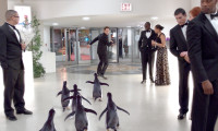 Mr. Popper's Penguins Movie Still 7